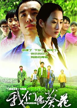 最后的跳水 封面图