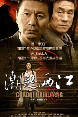 最后的维米尔 封面图